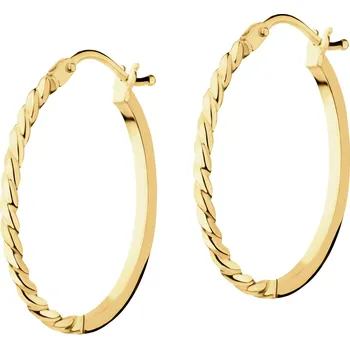 Náušnice Zlaté náušnice - kroužky - AP538-0173 Žluté zlato