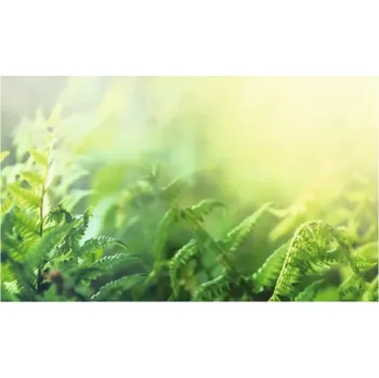 Obklad Obkladový panel do kuchyně mySpotti Profix kapradí 100 x 60 cm PX-10060-1511-HB