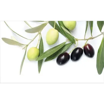 Obkladový panel do kuchyně mySpotti Profix olivová větev 100 x 60 cm PX-10060-1885-HB