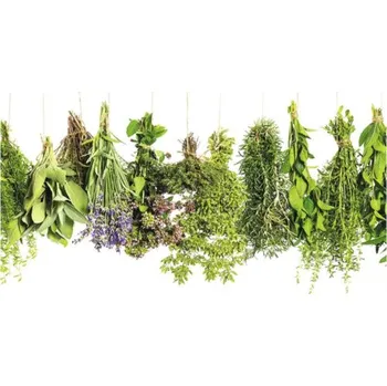 Obkladový panel do kuchyně mySpotti Profix zavěšené bylinky 100 x 60 cm PX-10060-1260-HB