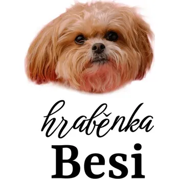 Party dekorace Tetovačky s mazlíčky č.10 (12 ks)