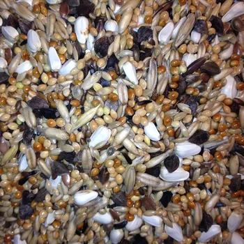 Krmivo pro ptáka Avest - Agapornis 20 kg