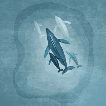 Plakát Plakát, Obraz - Whales family, Emel Tunaboylu