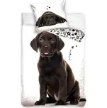 TipTrade Štěňátko hnědý Labrador 140 x…