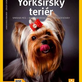 Obrázek k inzerátu: Yorkšírský teriér (Armin Kriechbaumer)