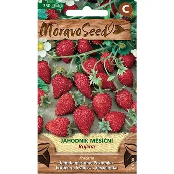 Semeno Semínka MoravoSeed Jahodník měsíční 61800
