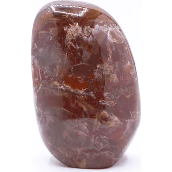 Přírodní kámen Milujeme Kameny Zkamenělé dřevo - broušený kámen ZD29 434316