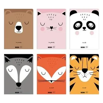 Set školních potřeb Zeszyt A5/32K kolorowa trzylinia BB (10szt)