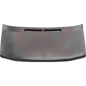 Kapota Kapota motoru VAN WEZEL 3075660