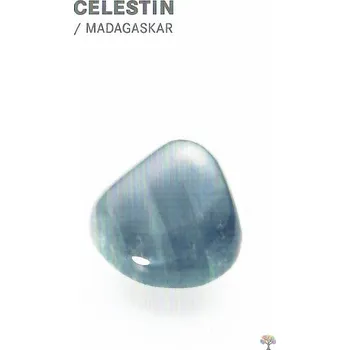 Obal na kartičku Magieprirody.cz Kartička s popiskem kamene Celestin #08