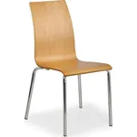 Dřevěná jídelní židle BELLA, přírodní 148519631