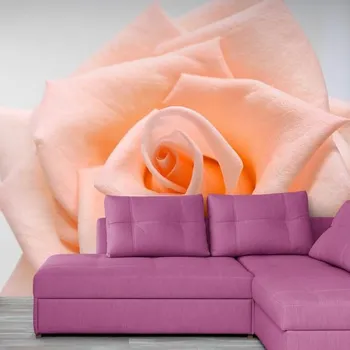 Tapeta Dovido Samolepící fototapeta růže v broskvovém odstínu