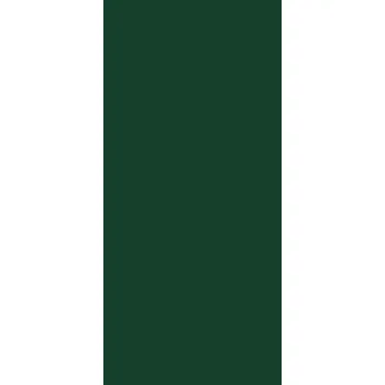 Kuchyňská pracovní deska Laminát U606 ST9 Lesní zelená 2800/1310/0,8 (Laminát U606 ST9 Lesní zelená 2800/1310/0,8)