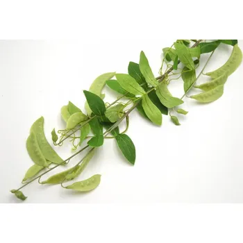 umělá květina Hrachová větvička s lusky 94 cm, zelená