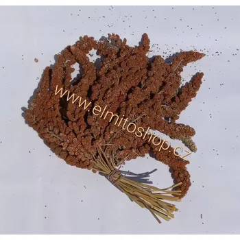 Krmivo pro ptáka Senegalské proso ČERVENÉ klasy