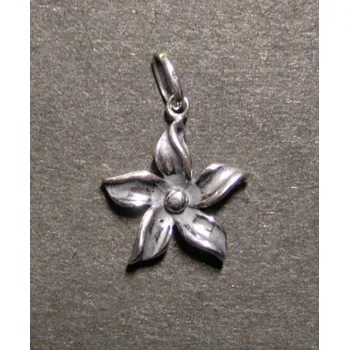 Přívěsek Stříbrný přívěsek - pětilistý květ