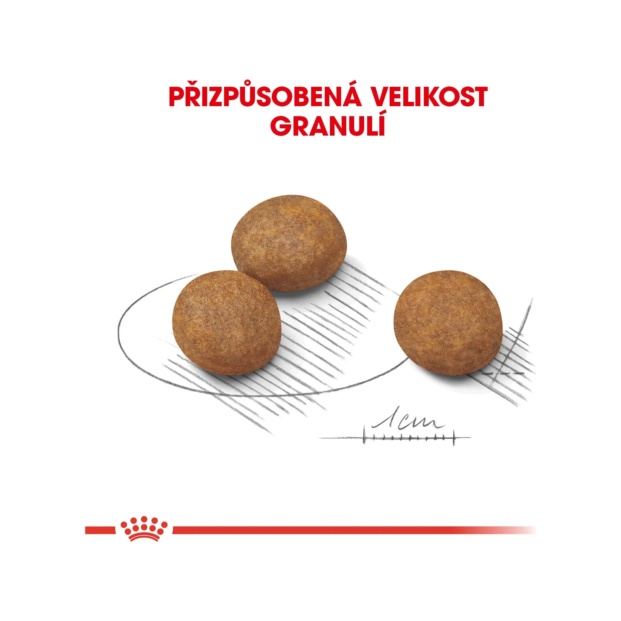 Fotografie 7 - Krmivo pro psa Royal Canin Maxi Puppy Poultry 15 kg