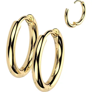 Náušnice Steel Edge Titanové náušnice kroužky SETRH01-8 Barva: Zlatá