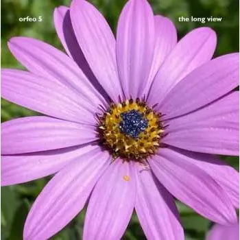 Zahraniční hudba CD Orfeo 5: The Long View 2022