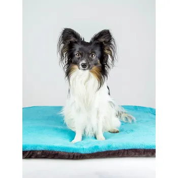 Polštář Polštář do přepravky s výšivkou - na zakázku