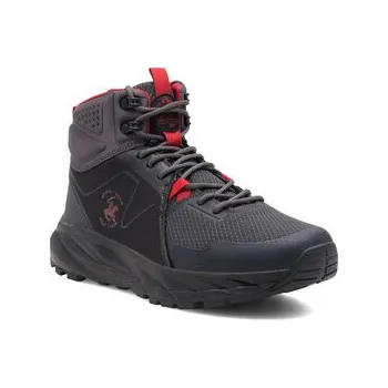 Dámské tenisky Sneakersy Beverly Hills Polo Club BUSH-01 Černá 41