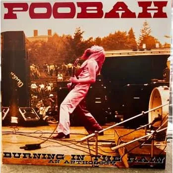 Zahraniční hudba 2LP Poobah: Burning In The Rain An Anthology 2024