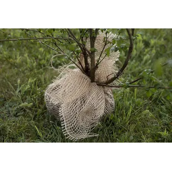 Jutová plachetka na kořenové baly Velikost: 90x90cm