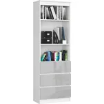 Regál R60 3SZ2P metalic lesk bílá