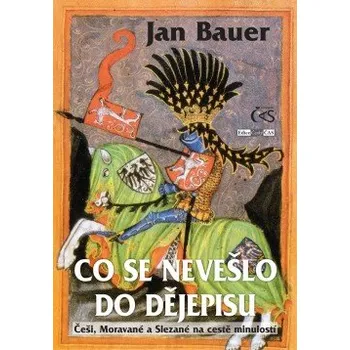 Kniha Co se nevešlo do dějepisu elektronická kniha