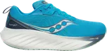 Saucony Triumph 22 S10964-213