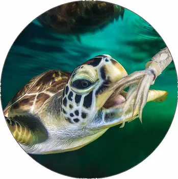 Jedlá dekorace na dort Jedlý papír mořská želva 19,5 cm