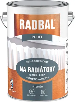 barva na kov Radbal Profi S2120 1000 4 l