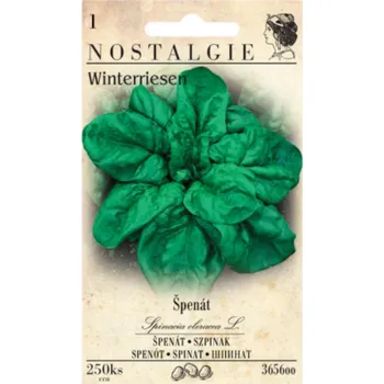 Semeno Špenát setý WINTERRIESEN