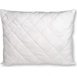 POLŠTÁŘ PROŠÍVANÝ - ALOE VERA 40x60 cm