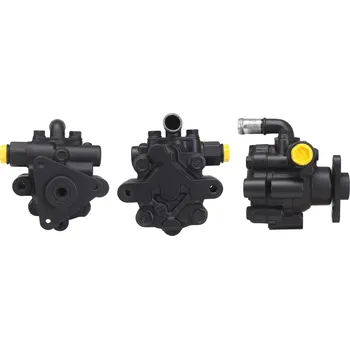 Auto-moto Hydraulické čerpadlo, řízení, , 491100100R, 8182008, 8200763524, 8200763525, DRI, 715521509