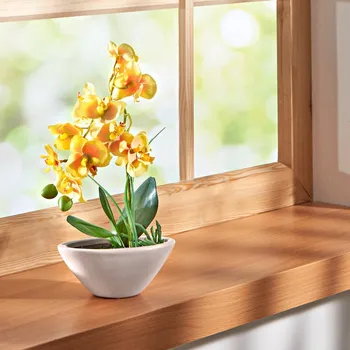 umělá květina 3Pagen Orchidej Phalaenopsis žlutá