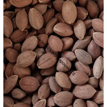 Krmivo pro ptáka Zieler ořechy PILI 1 kg