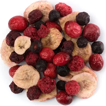 Sušená potravina Nutsman LyoN směs borůvková Množství: 50 g