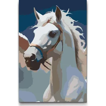 Malování podle čísel - Bílý pegas v oblacích Velikost: 20x30cm, Rámování: Pouze srolované plátno