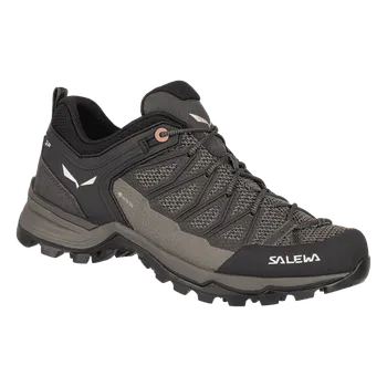 Dámská treková obuv Salewa Ws Mountain Trainer Lite GTX 61362-7517