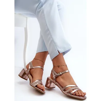 Dámské sandále Sandály na podpatku model 196656 Step in style 37