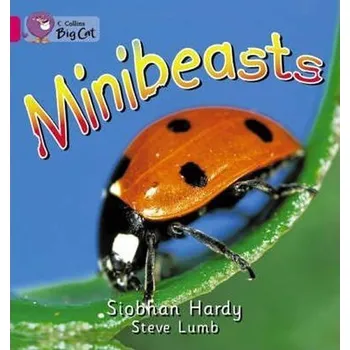 Cizojazyčná kniha Minibeasts : Band 01a/Pink a