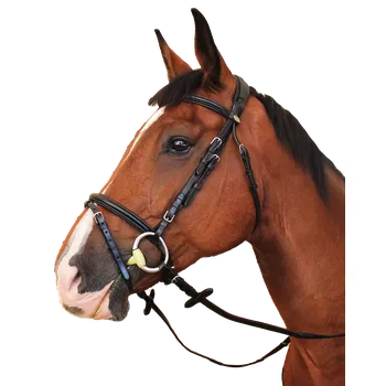 Vybavení pro koně Kentaur Uzdečka Premium TRYON tmavě hnědá, Full