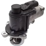 AGR-Ventil ASHIKA 150-00-0915