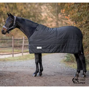 Jezdectví Podvleková deka/liner Waldhausen -ECONOMIC 100G- - Černá - 155cm