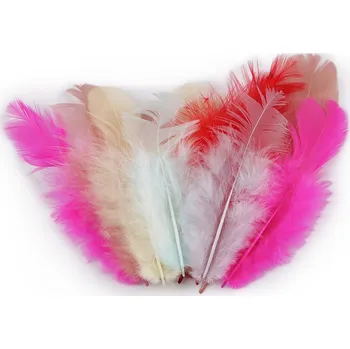 Slepičí peří délka 8-9 cm - 11 mix