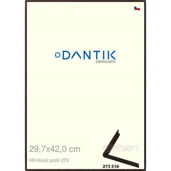 Obraz DANTIK Rámeček na jednu fotku 42 x 29,7 cm