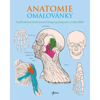 Antistresové omalovánky Anatomie: Omalovánky - Nakladatelství Esence (2024, brožovaná)