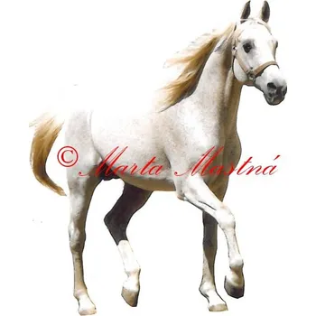 Samolepka arabský kůň Emigrant, koně 505