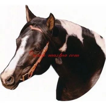 Samolepka paint horse čb, kůň , koně - archiv